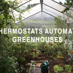 Thermostat Automates Greenhouse