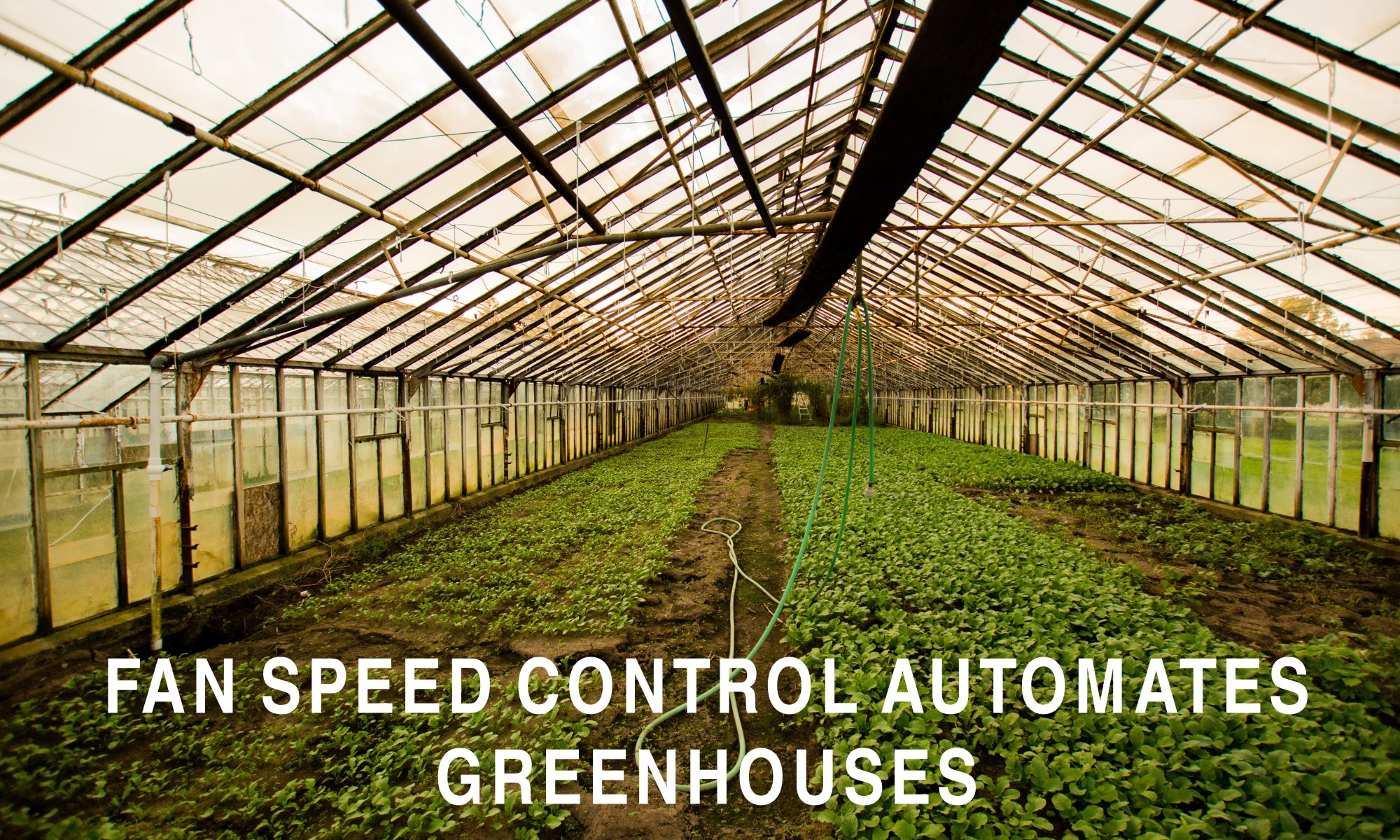 Fan Speed Control Automates Greenhouses
