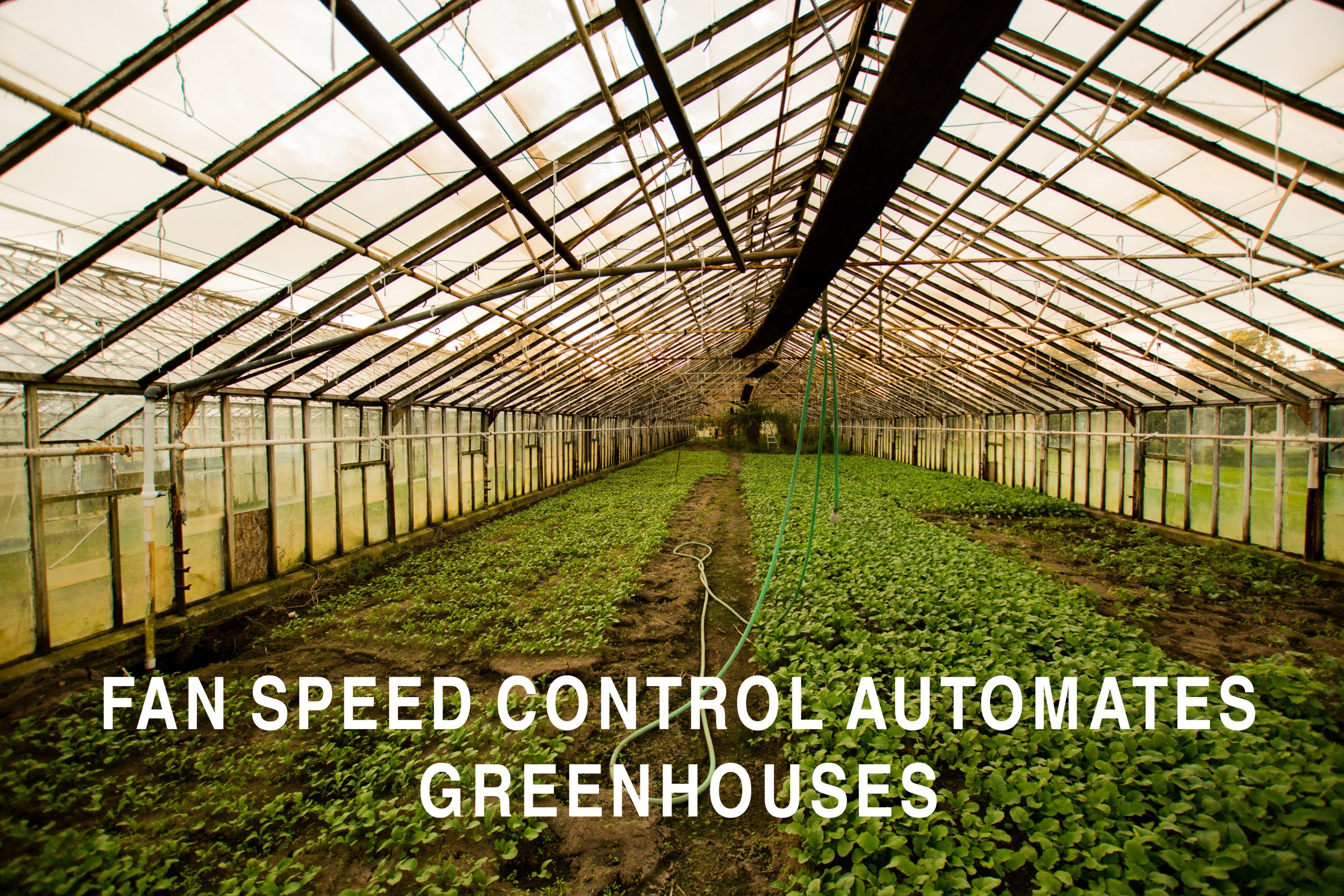 Fan Speed Control Automates Greenhouses